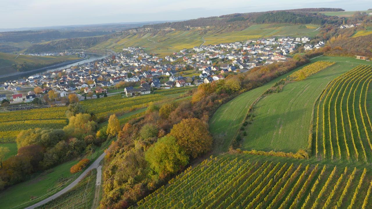Weingut Und Gaestehaus Apel Nittel Exterior photo